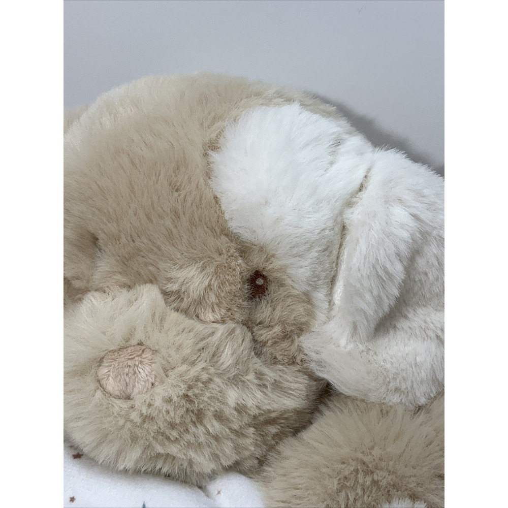 Douglas baby tan/cream puppy Super Soft Unisex Lovey Sewn Eyes & Nose 2023 - Picture 3 of 13